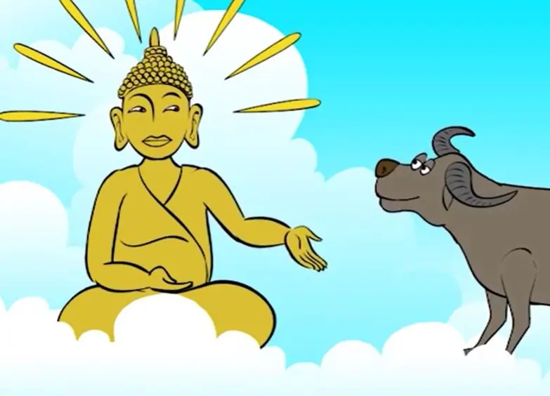 Buffalo and the Buddha