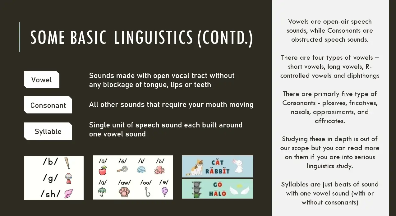 Consonants, Vowels and Syllables