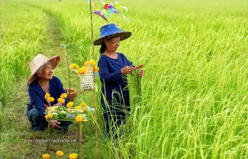 Thai women making preparations for Rap Khwan Khao Ceremony