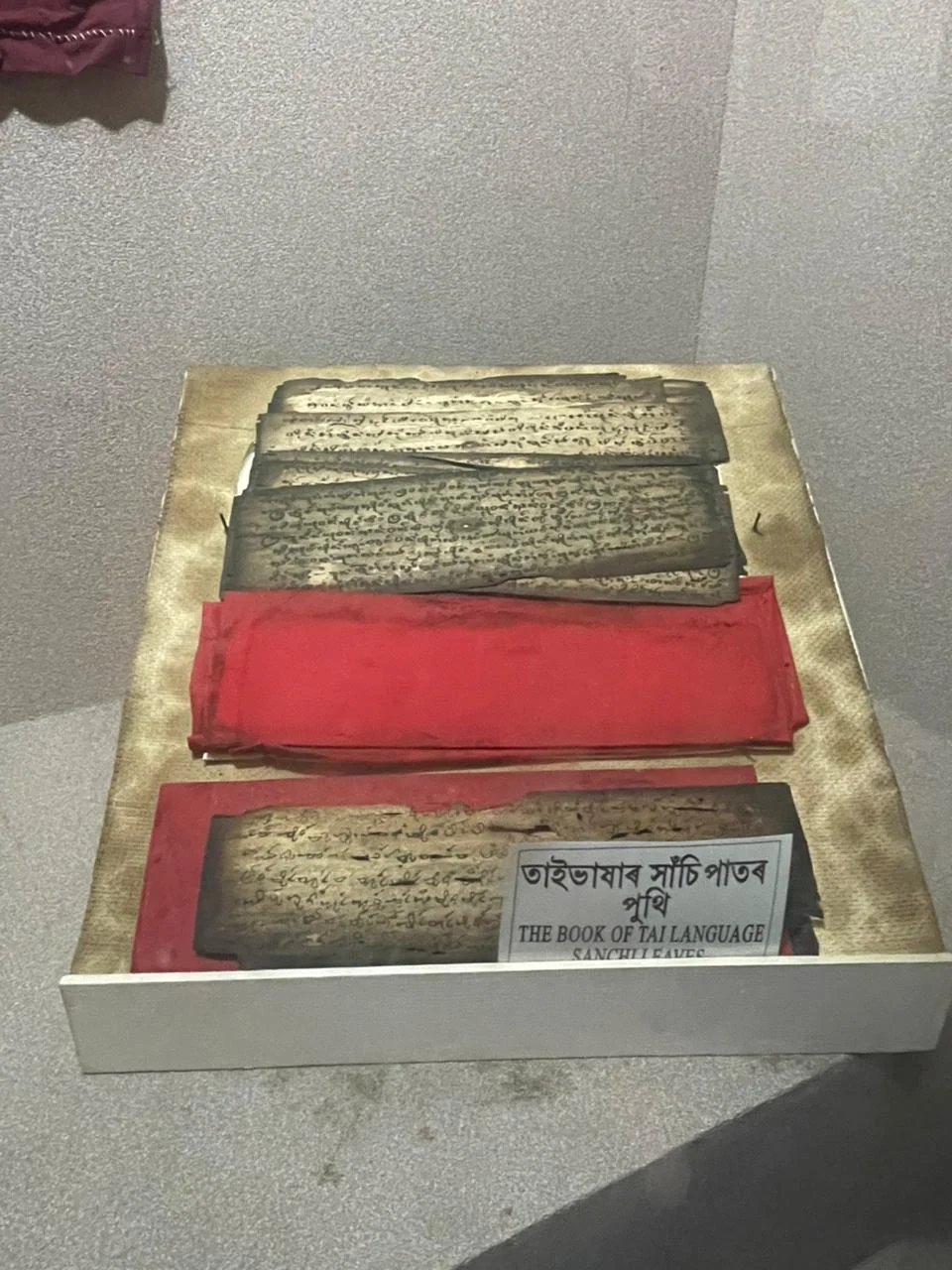 Assam Tai Museum, Sivasagar