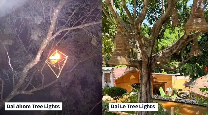Bamboo Lamps placed on Trees in Assam and Xishuangbanna