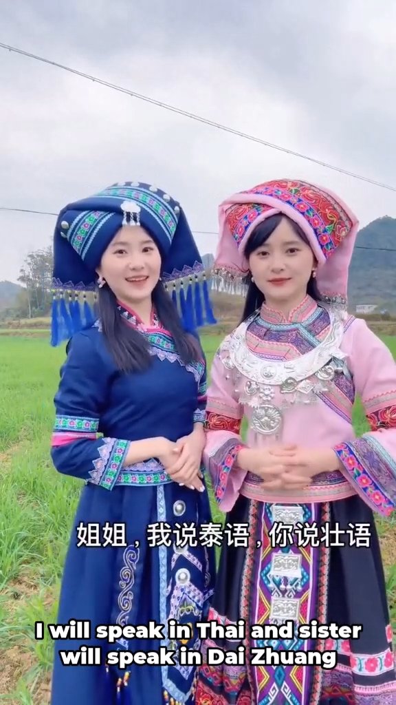 Similarities between Zhaung, Thai and Dai Ahom